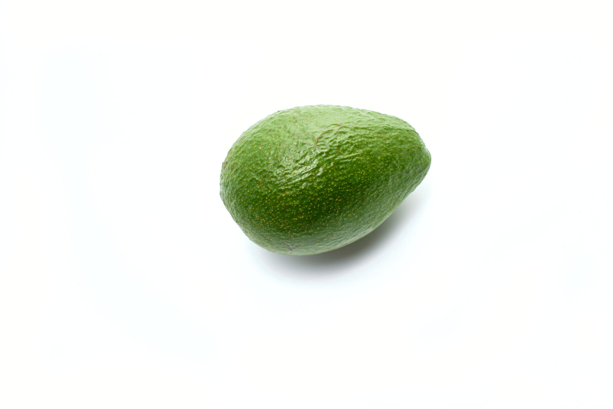 Avocado on white background